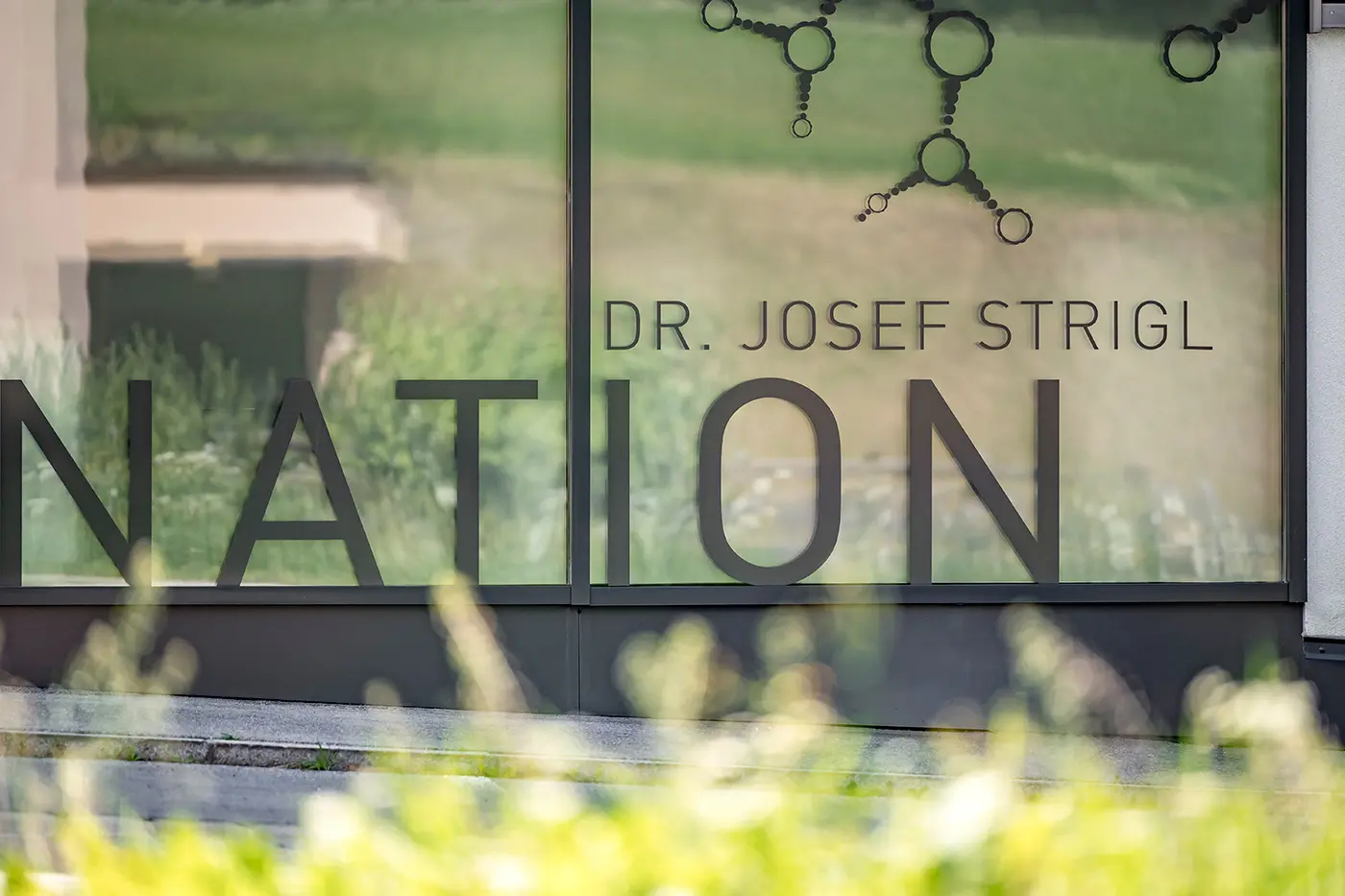 Ein Glasfenster zeigt DR. JOSEF STRIGL und einen Teil des Wortes NATION mit den oben abgebildeten Molekülen.